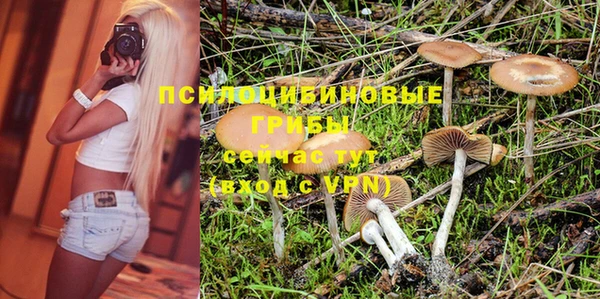 дживик Алзамай