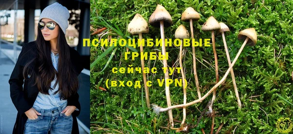 стафф Алексеевка
