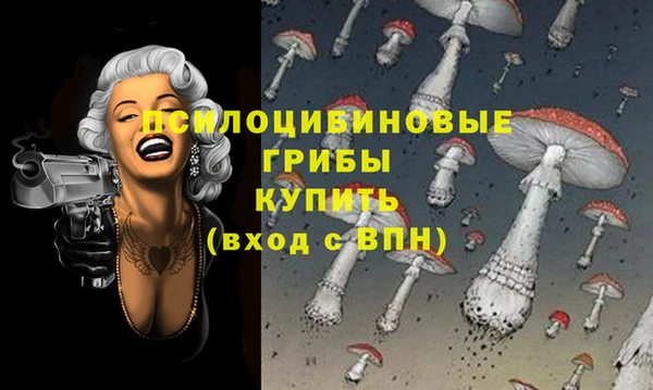 ALPHA PVP Алексин