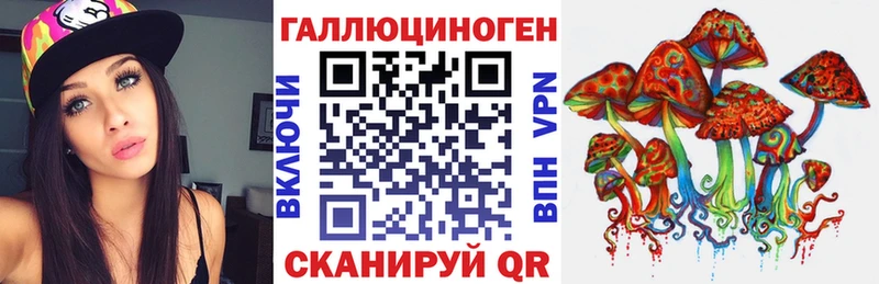 как найти   Грайворон  Псилоцибиновые грибы Magic Shrooms 